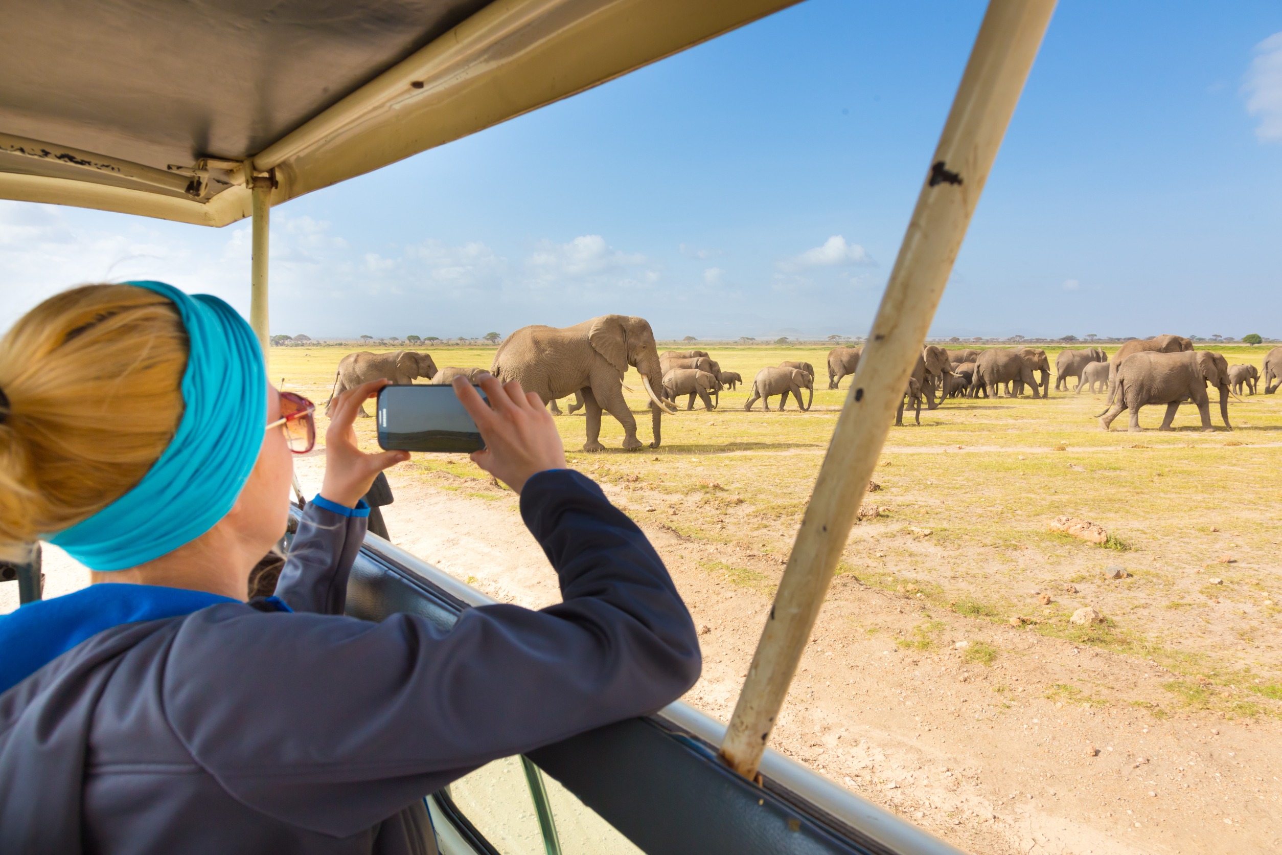 Comment planifier un safari en Afrique ?
